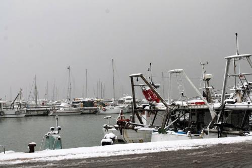 Nevicata Porto San Giorgio - febbraio 2018 (14)