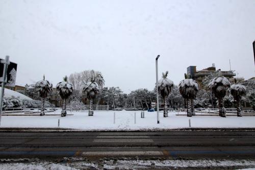 Nevicata Porto San Giorgio - febbraio 2018 (15)