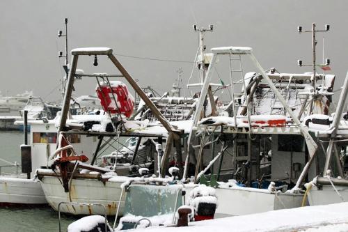 Nevicata Porto San Giorgio - febbraio 2018 (20)