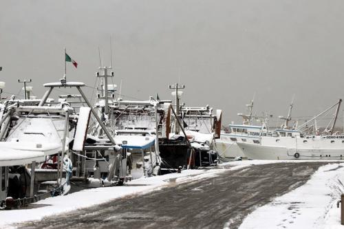 Nevicata Porto San Giorgio - febbraio 2018 (21)