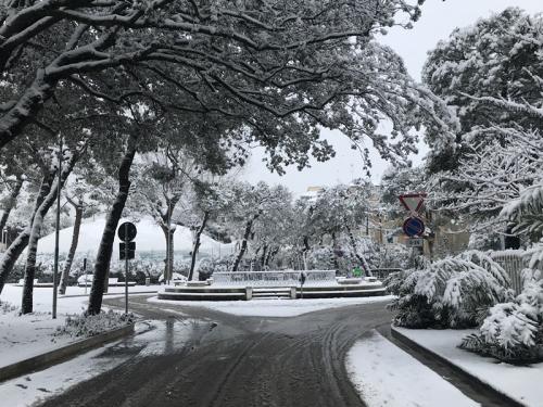 Nevicata Porto San Giorgio - febbraio 2018 (22)