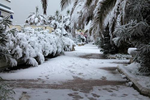 Nevicata Porto San Giorgio - febbraio 2018 (8)